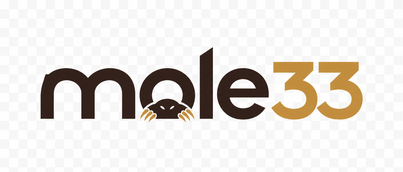 Logo mole33 Indonesia